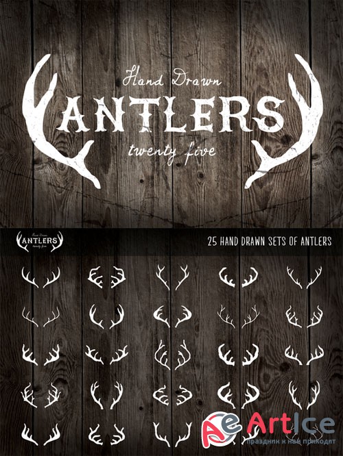 CreativeMarket - 25 Vintage, Hand Drawn Antlers 33427