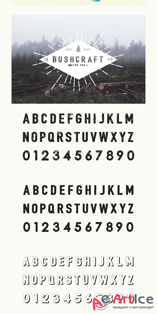 Bushcraft Font Family