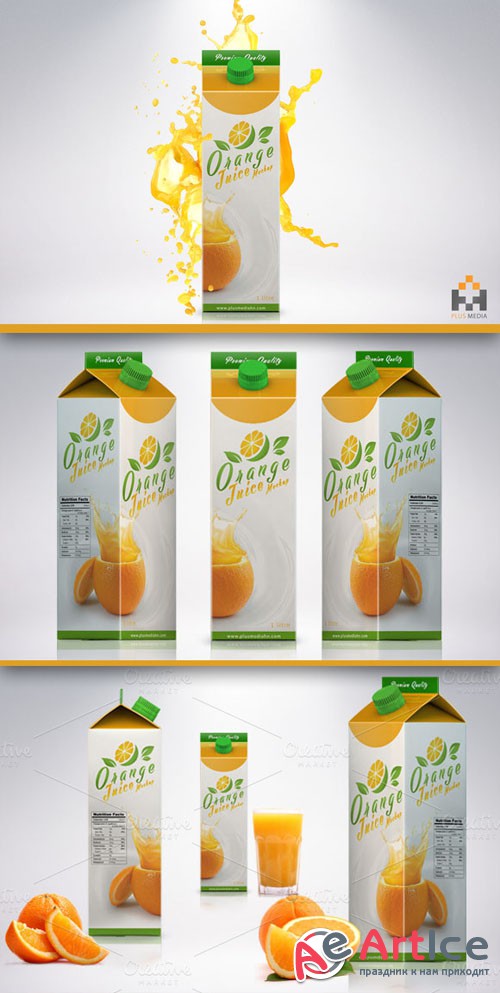 CreativeMarket - Juice Carton Package Mockup 9959