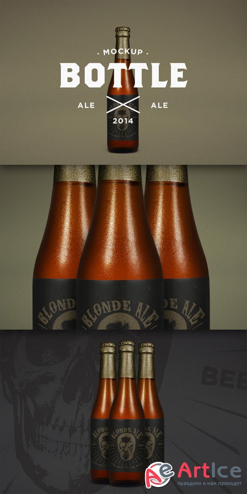 CreativeMarket - Blonde Ale Mock-Up 66013