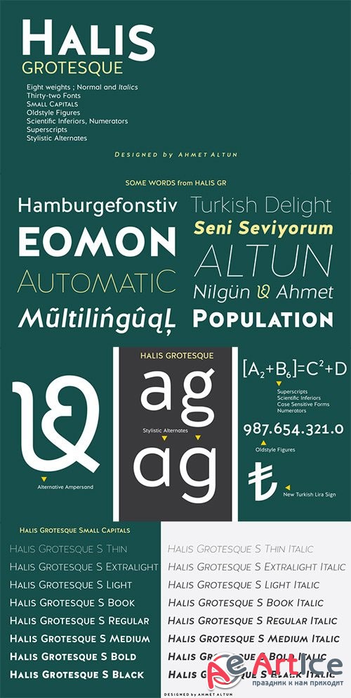 Halis Grotesque Font Family