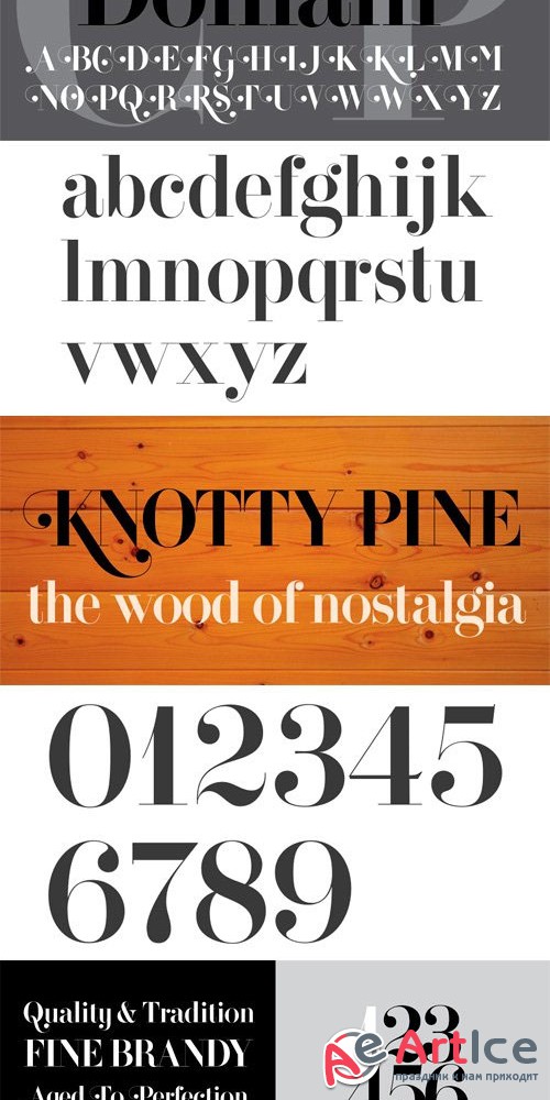 Domani CP Font Family