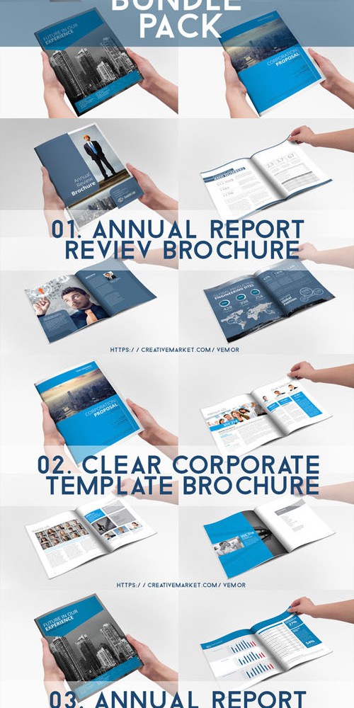 Business Brochure Bundle Pack 3 in 1