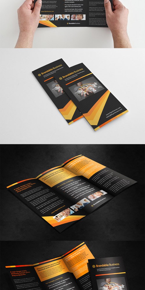 Business Tri Fold Brochure Template