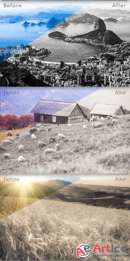 CreativeMarket - Monochrome Landscape Presets 89502