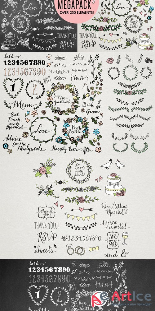 CreativeMarket - Wedding Illustrations Megapack