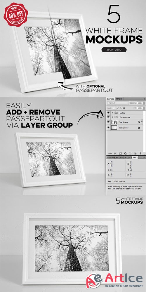 CreativeMarket - Bundle of 5 White Frame Mockups