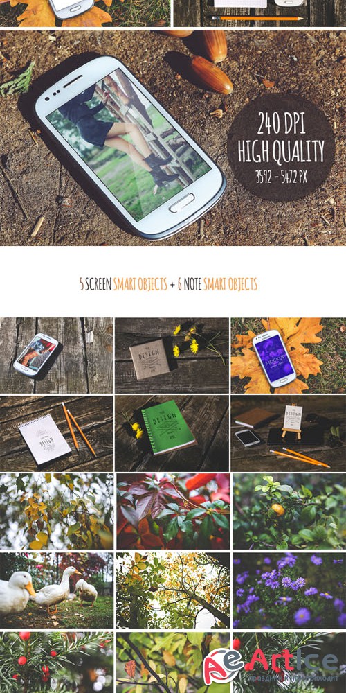 CreativeMarket - 37 Pieces - 10 Mock-Ups & 27 Photos