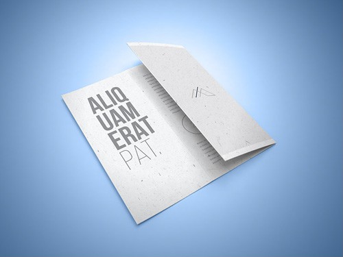 Tri-fold Brochure Mockup PSD