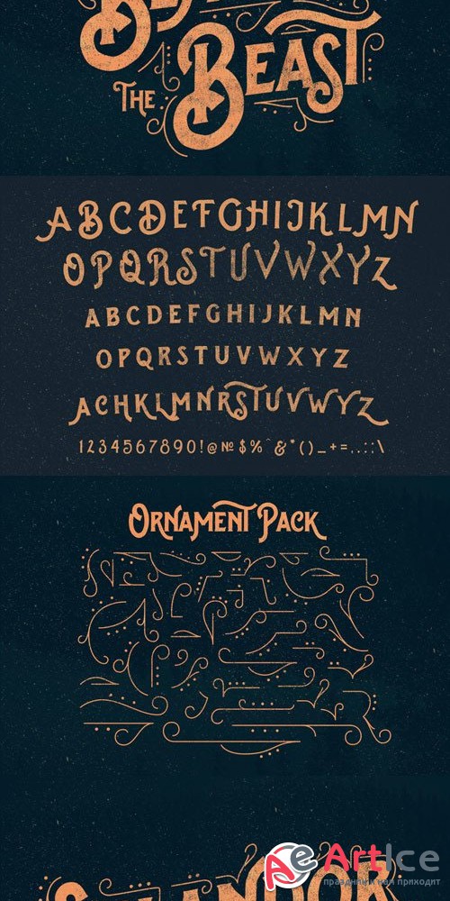 CreativeMarket - Splandor Typeface