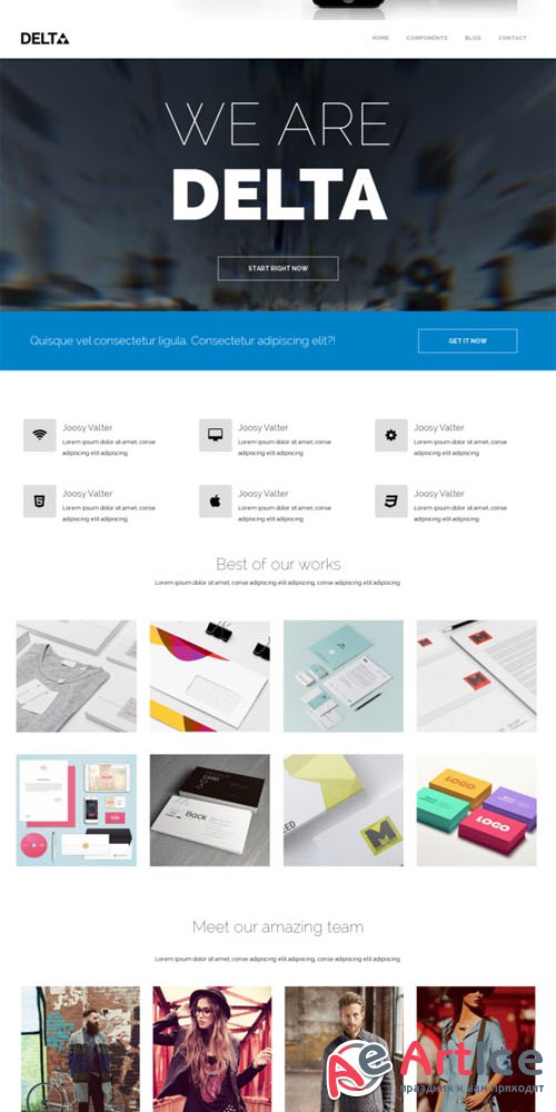 Delta - free WP theme - CreativeMarket