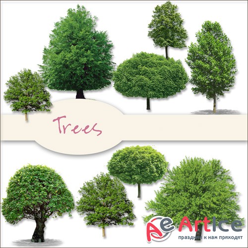 Scrap - Trees PNG and JPG