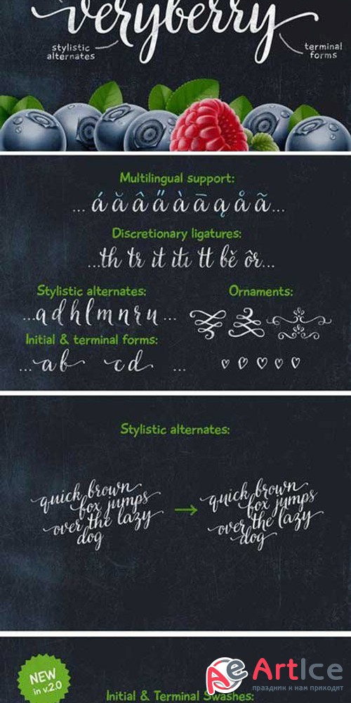 CreativeMarket - Veryberry Script Font Family