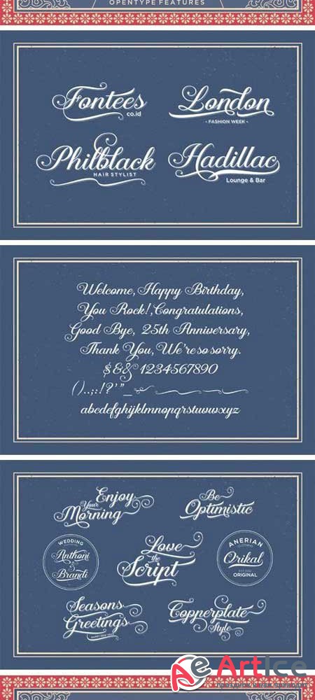 CreativeMarket - Aaron Script Font Family