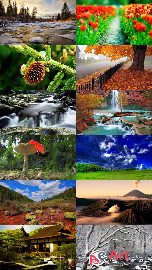 Beautiful Wallpapers of Nature Pack 85