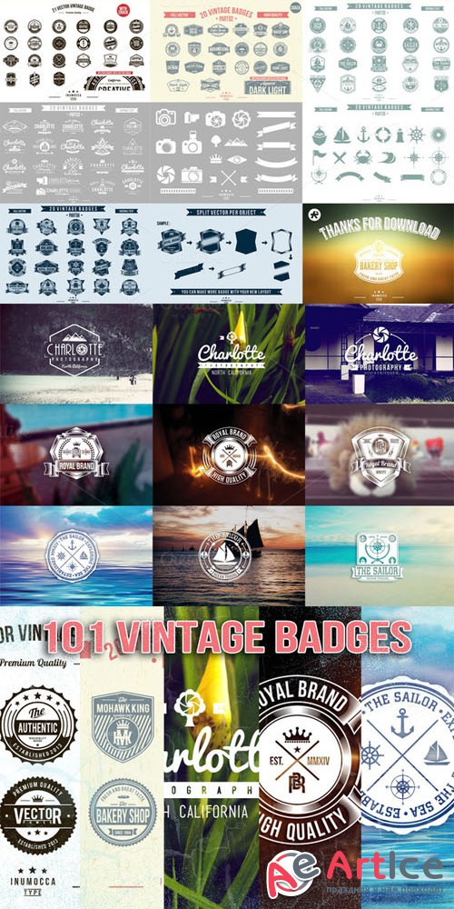 101 Vintage (Mega Bundle 50%) - Creativemarket 31567