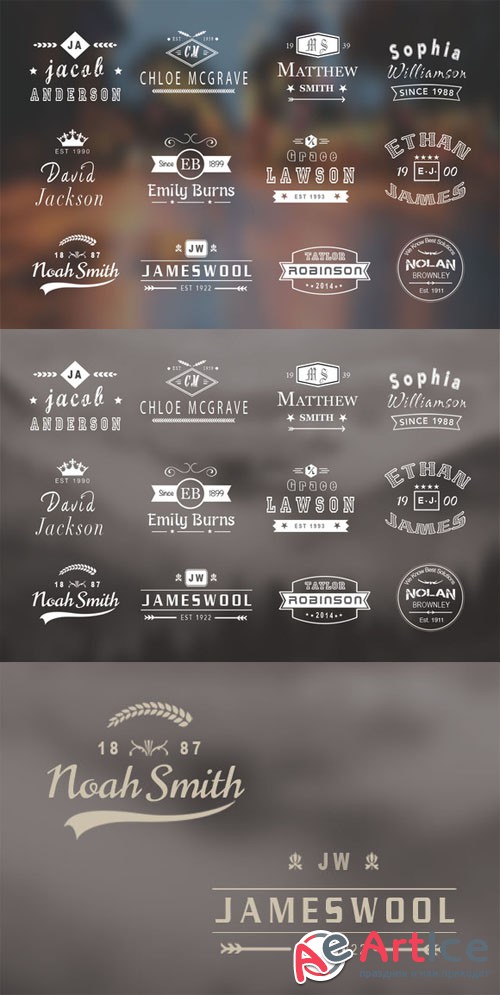 12 Vintage Name Logo Badges - Creativemarket 73880