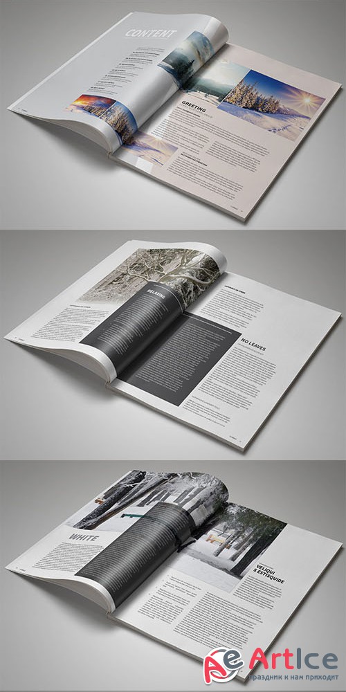 InDesign Magazine Template - Creativemarket 117194