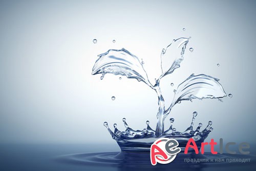 Water splash in form of plant - Creativemarket 127313