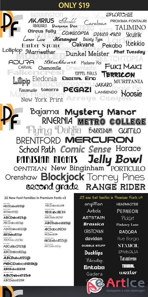 Premium Fonts - CM 8656