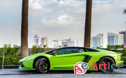 Wallpapers Lamborghini Cars #294 