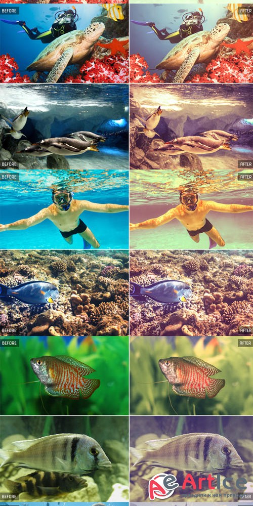 100 Underwater Lightroom Presets - CM 106337