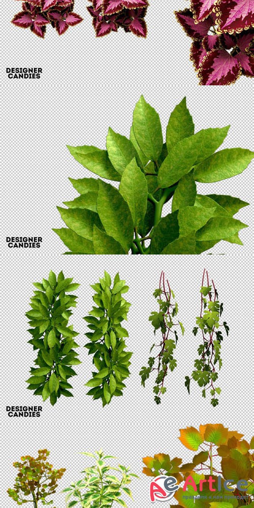 3D Foliage Pack - Transperent PNG