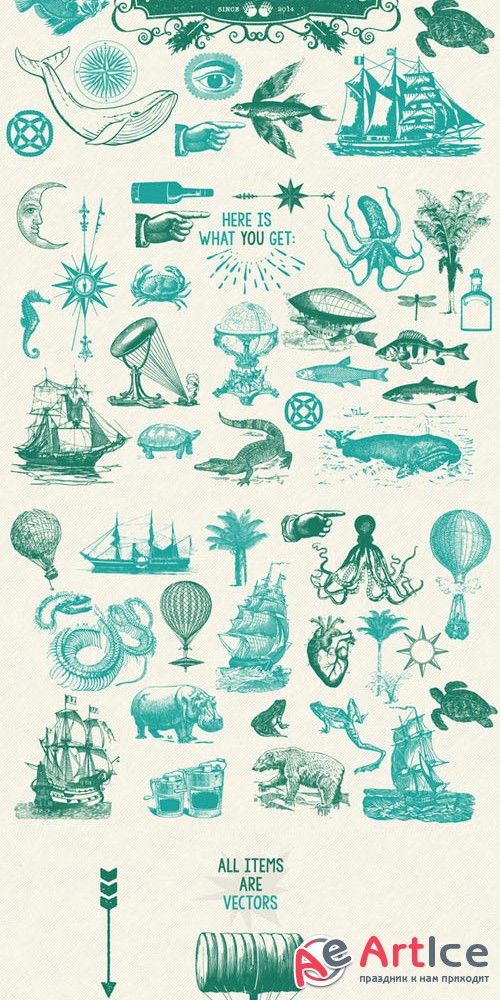 60 Vintage Nautical Vectors - Creativemarket 199839