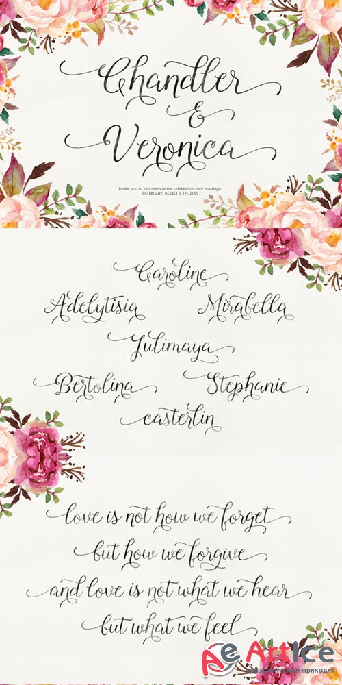 Roselina Script Font Family - Creativemarket 183148