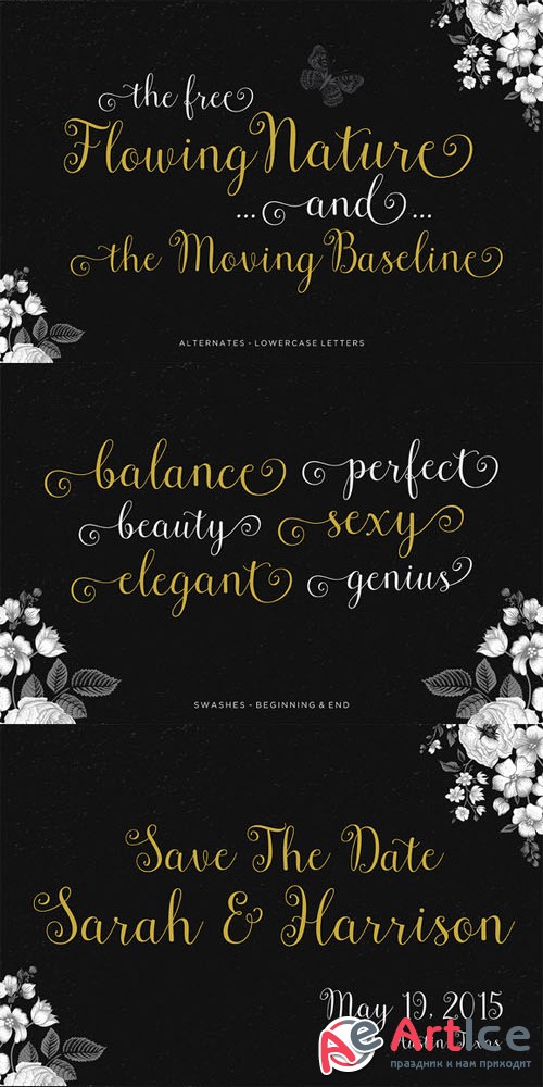 Cresilda Script Font Family - Creativemarket 179224