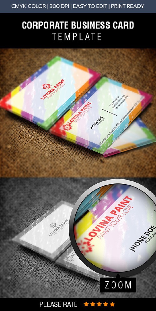 Lovina Paint Business Card Design