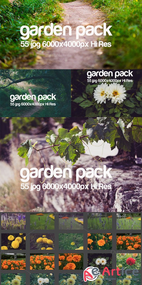 Creativemarket Garden Park 78120