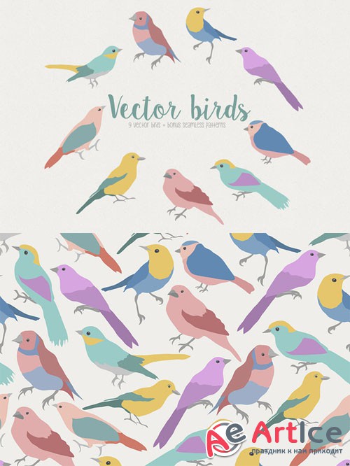 Creativemarket Vector bird 27234