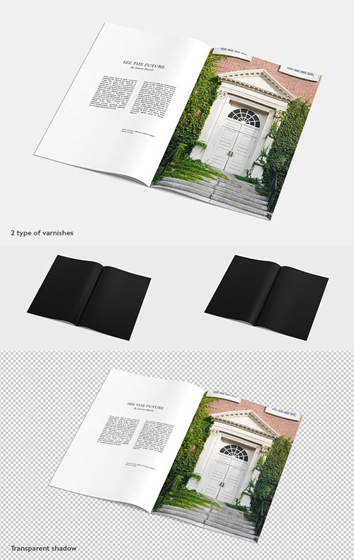 PSD - Magazine Mock up Set 11