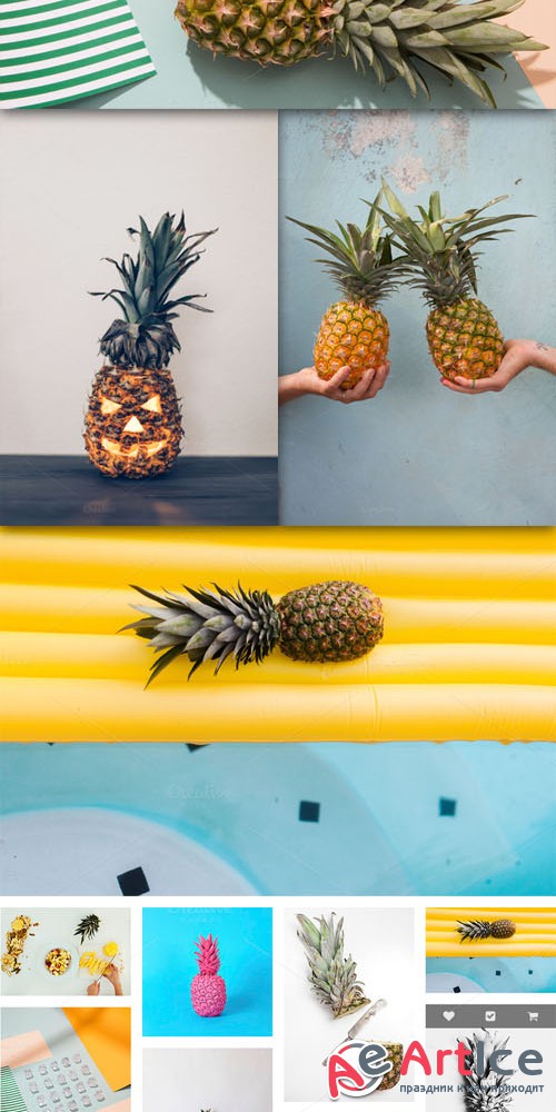 Creativemarket - Stocksy Pineapple Pack 280455