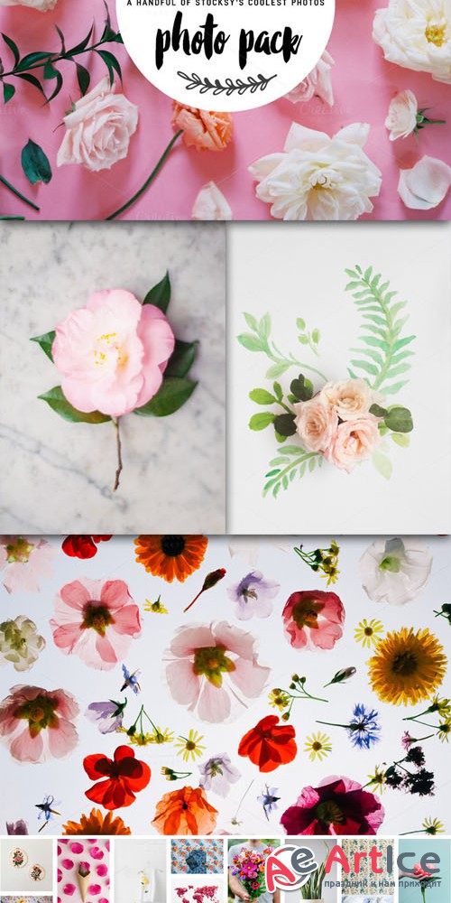 Creativemarket - Stocksy Floral Pack 280407