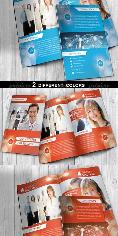 Bifold Corporate Brochure PSD