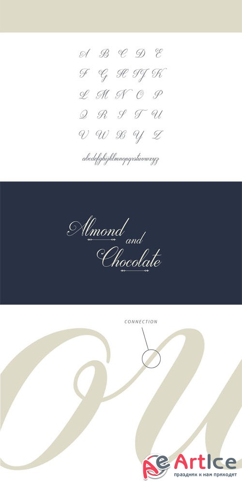 Darleston Calligraphic Typeface Font