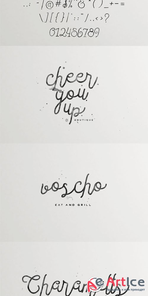 Bleakerst Script Font