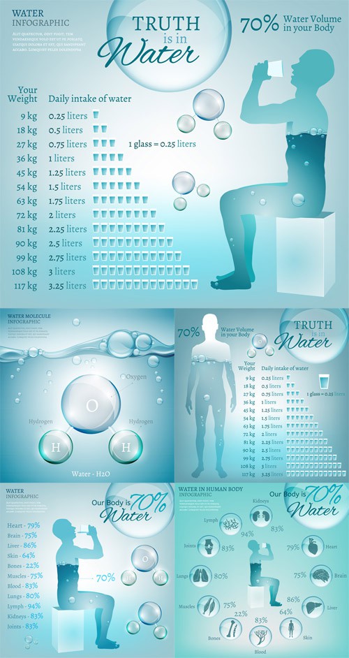 Vector Set - Water in Body 