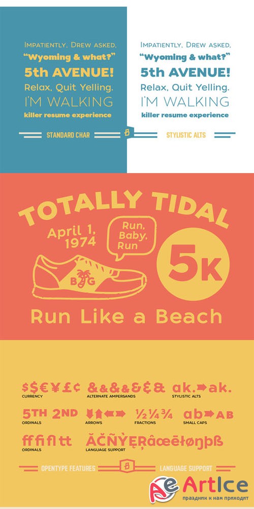 Creativemarket - Tide Sans Font 15826