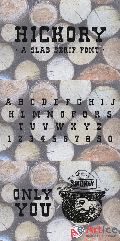 Hickory - Slab Font - Creativemarket 87353