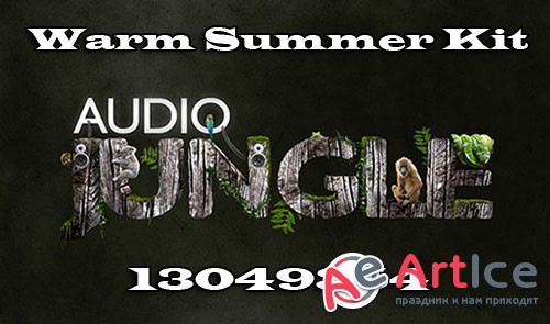 Audiojungle Warm Summer Kit 13049354