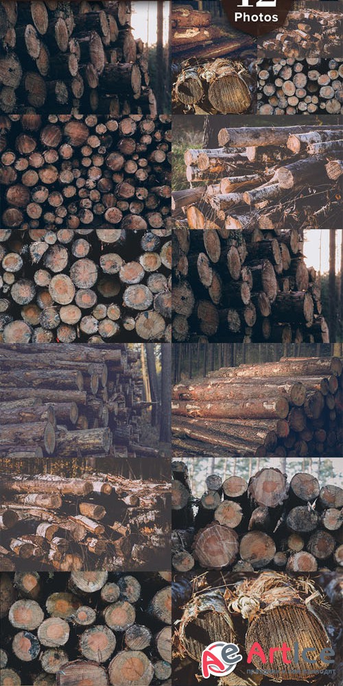 WOOD LOGS (12 Premium Photos) - Creativemarket 317876