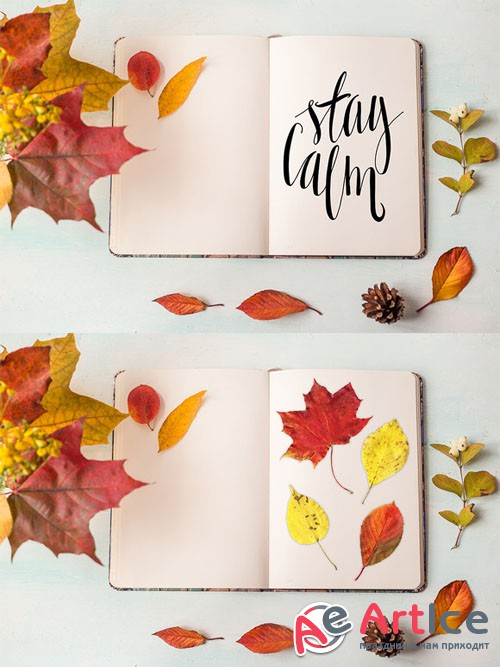 Creativemarket - Rustic autumn mockup 369821