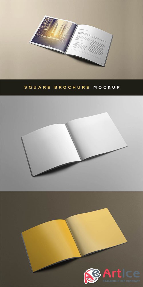 Square Brochure Presentation Mock-up Template