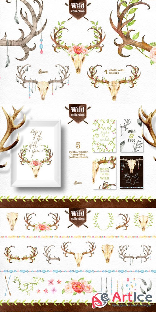 Wild Collection - CM 293347