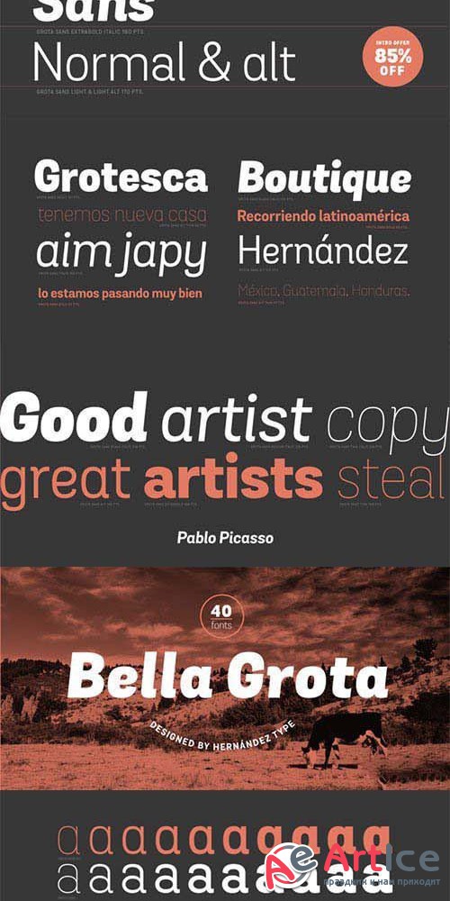 Grota Sans Font Family - ttf