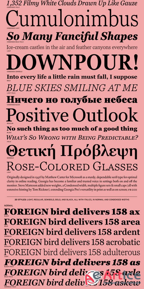 Georgia Pro Font Family - ttf