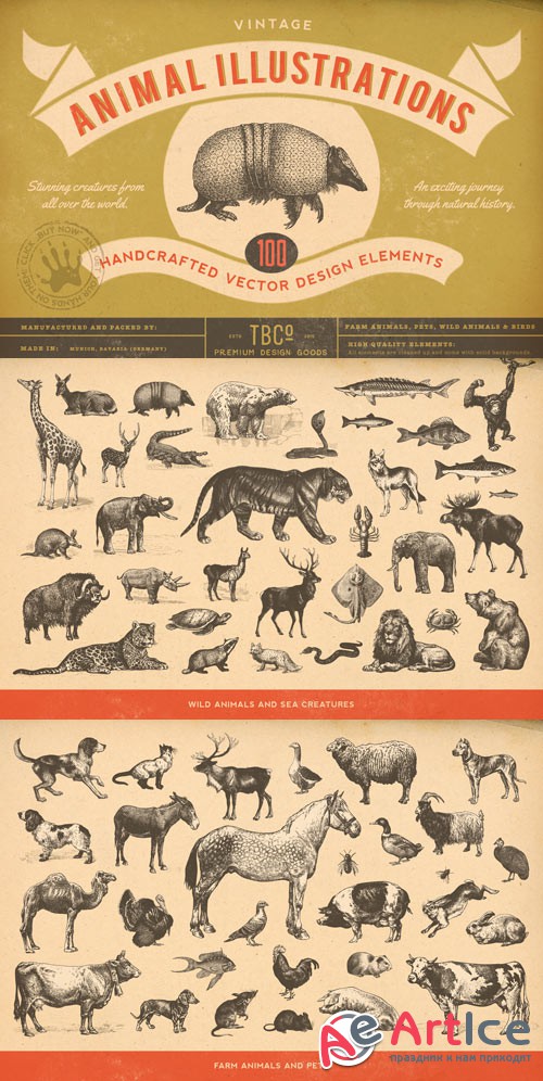 100 Vintage Animal Illustrations